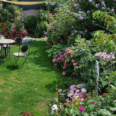 Ferienwohnung Am Berg, 35Qm Rickenbach  Екстериор снимка