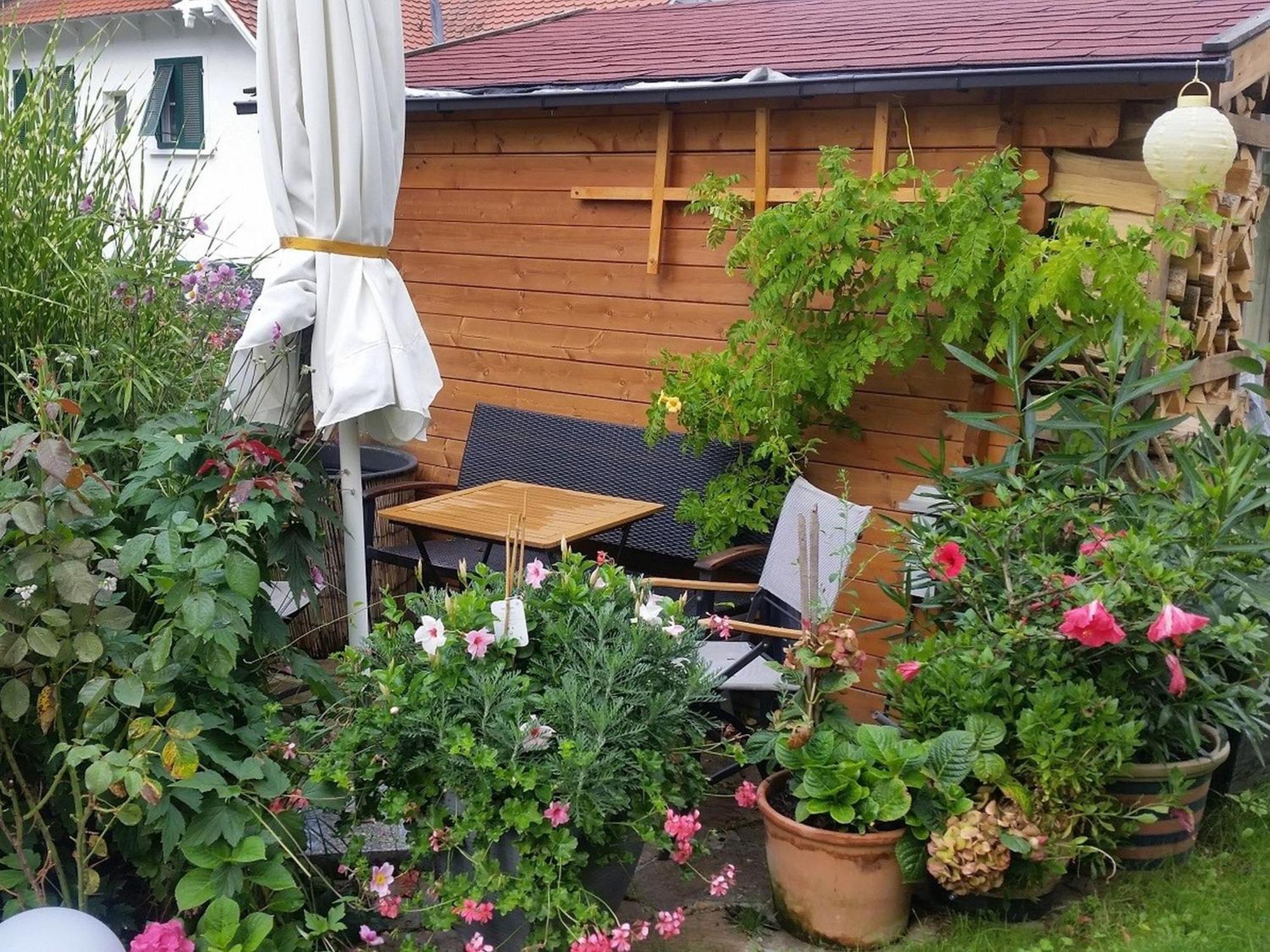 Ferienwohnung Am Berg, 35Qm Rickenbach  Екстериор снимка
